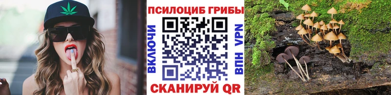 Псилоцибиновые грибы MAGIC MUSHROOMS  цена наркотик  ОМГ ОМГ как зайти  Октябрьский 